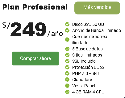 profesional